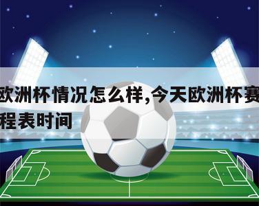 今天欧洲杯情况怎么样,今天欧洲杯赛程2021赛程表时间