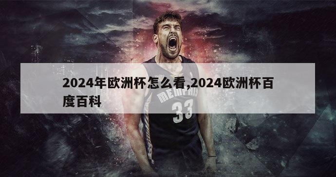 2024年欧洲杯怎么看,2024欧洲杯百度百科