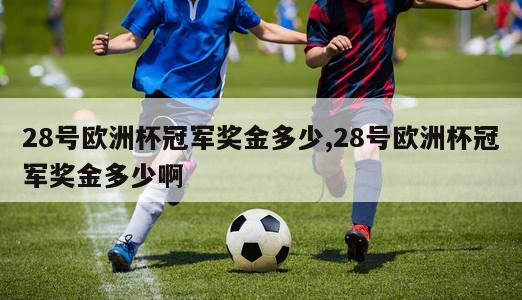 28号欧洲杯冠军奖金多少,28号欧洲杯冠军奖金多少啊