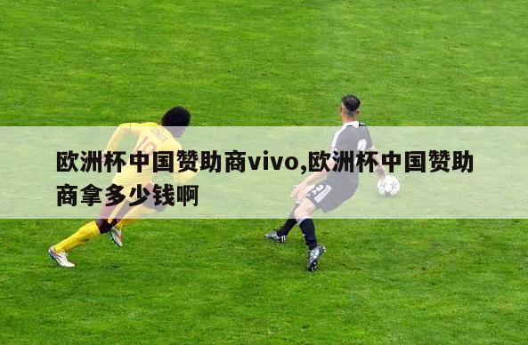 欧洲杯中国赞助商vivo,欧洲杯中国赞助商拿多少钱啊