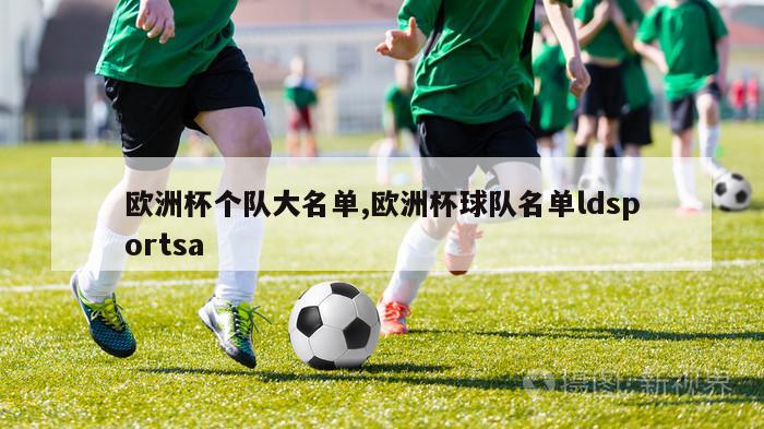 欧洲杯个队大名单,欧洲杯球队名单ldsportsa